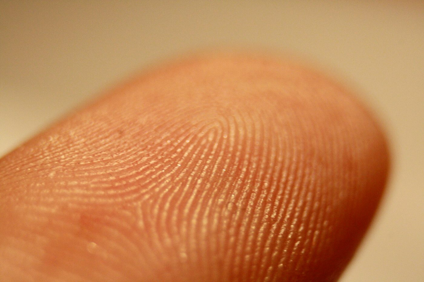A close-up of the ridge detail on a human fingertip.