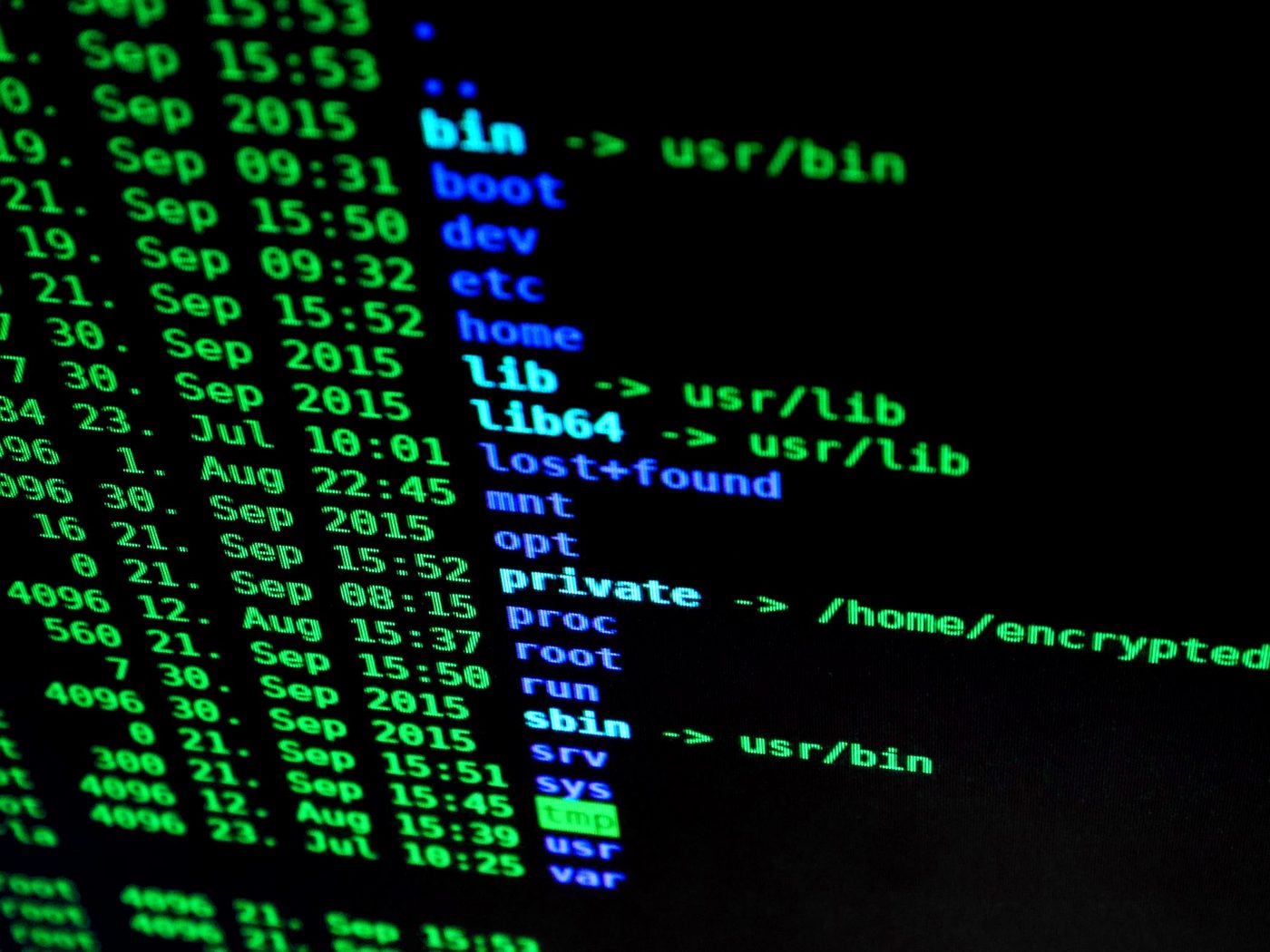 A terminal window filled with monospaced output on a dark screen.